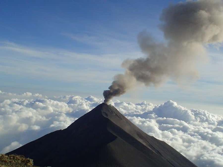 1 Day Acatenango Volcano Hike from Antigua - Phase 2: Old-Growth Tropical Cloud Forest and the Quetzal Connection