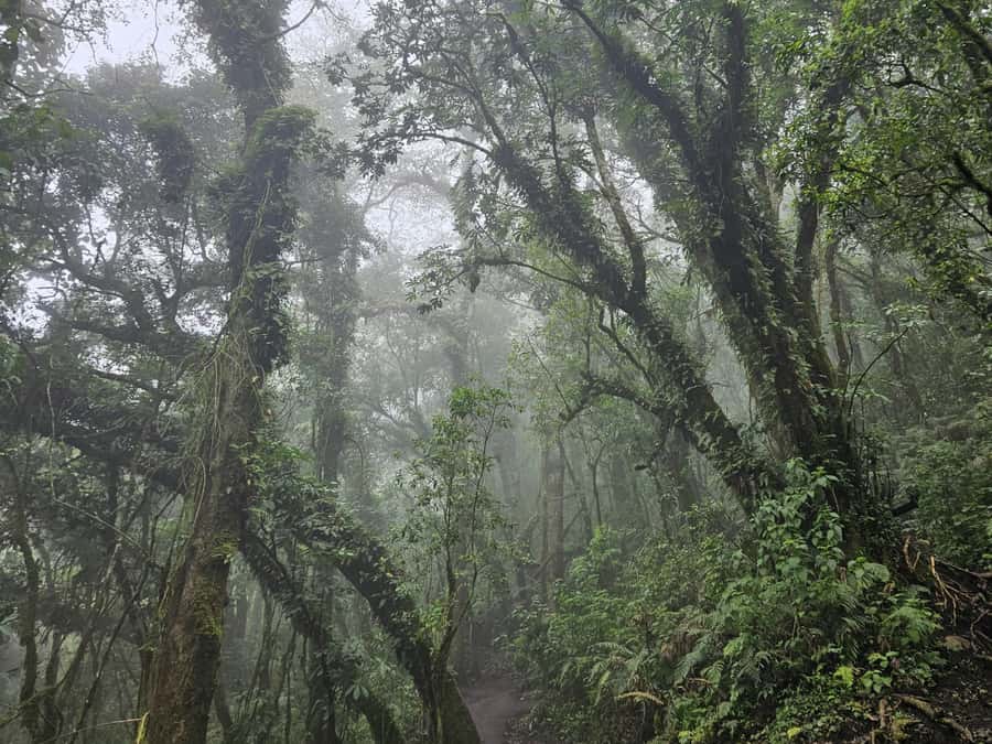 2-day tour from Antigua 1 night in Acatenango Volcano - Day 2: The 4:00 AM Summit Push and a Sunrise Worth the Suffering
