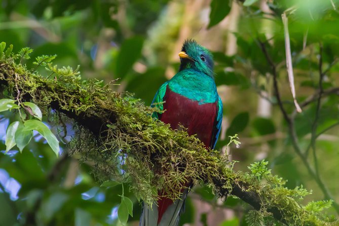3-Day Tour of Cobán and Semuc Champey from Guatemala City - Who This Tour Fits Best, and Who Might Struggle