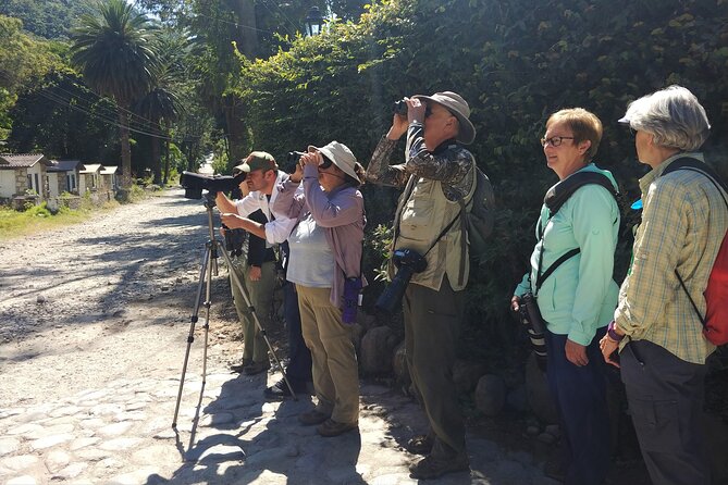 5-Hour Private Birdwatching Experience in San Juan La Laguna - Birding with specialist guidance, plus scope help