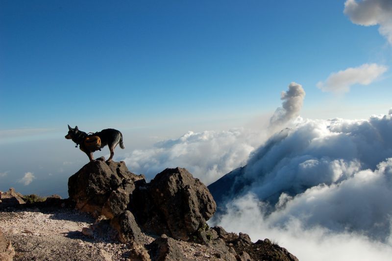 Acatenango Volcano 2-Day Hike - Guides, pace, and the human touch that makes it feel smoother