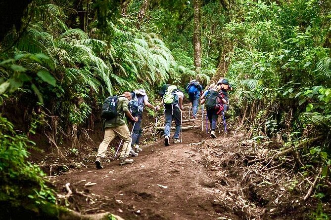 Acatenango Volcano Overnight Hike with Comfort Glamping - What the Guides Add: Helpful at Every Step