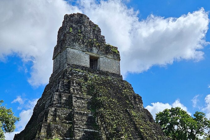 All Inclusive Tikal Tour from Flores and Airport - From Isla de Flores pickup to Tikal National Park, the day runs clean