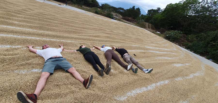 Antigua ATV Coffee tour - Value check: is $57 for a 3-hour ATV coffee tour a fair trade?