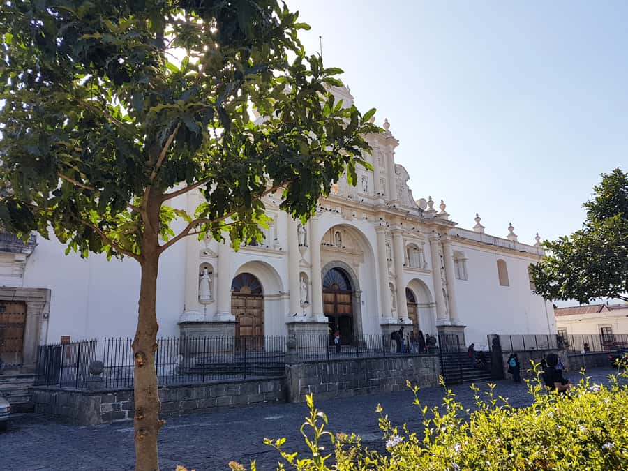 Antigua Guatemala: Morning Tour from Guatemala City - Antigua at your pace, not your stress level