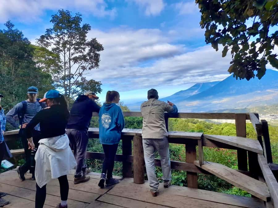 Antigua Guatemala: Private Day Tour to Pacaya Volcano - Pacaya From Antigua: Why This 6-Hour Trip Works