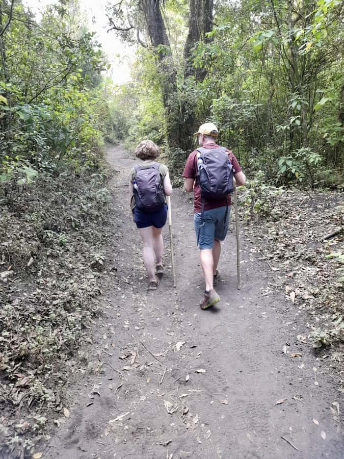Antigua Guatemala: Private Day Tour to Pacaya Volcano - Guided Volcano Facts on the Way Up