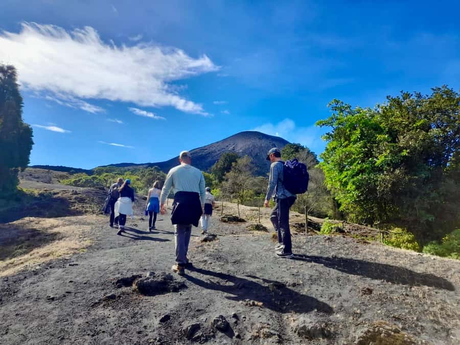 Antigua Guatemala: Private Day Tour to Pacaya Volcano - Pickup, Private Van Ride, and the Guide Factor
