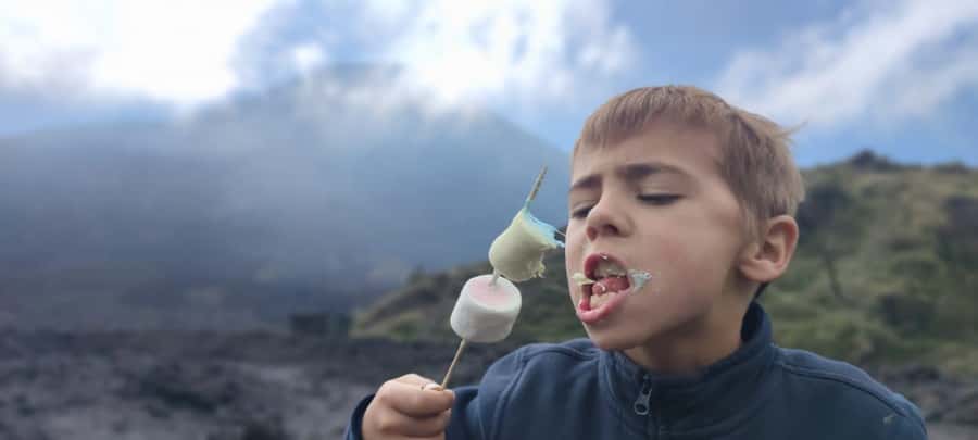 Antigua: Marshmallows Roasting at Pacaya Volcano 6-hour Tour - Key Things That Make This Tour Worth Your Time