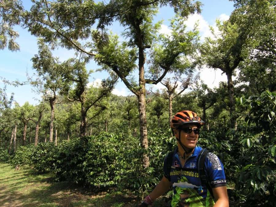 Antigua Sip 'n Cycle Half-Day Bike Ride and Coffee Tour - Arriving at Finca Azotea: coffee-country “maze” energy
