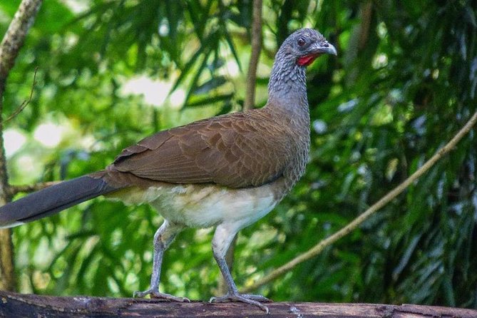 Atitlan Hiking and Birding - Day tour from Antigua - The hike portion: what it feels like and how to enjoy it safely
