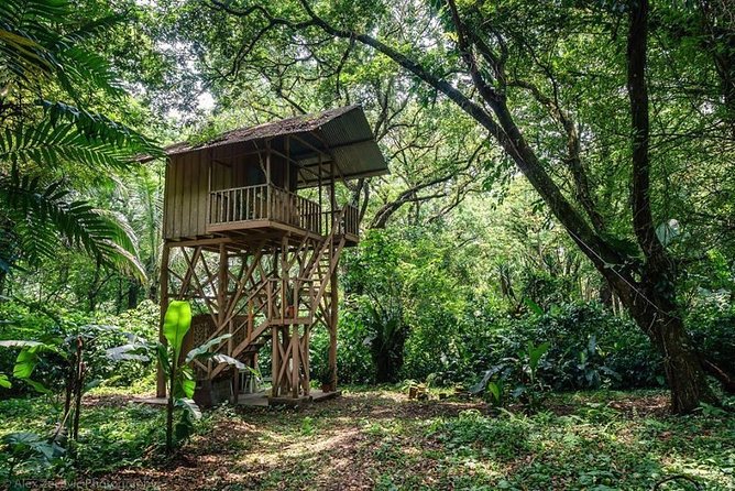 Atitlan Hiking and Birding - Day tour from Antigua - San Lucas Tolimán stop: Mayan village life, crafts, and a calm lunch break
