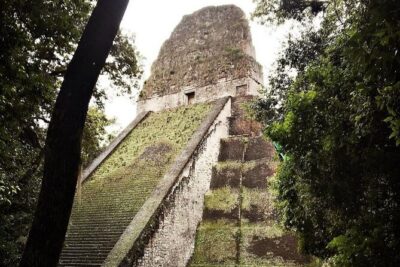Basic Tour to Tikal Includes Transportation and Guide Service
