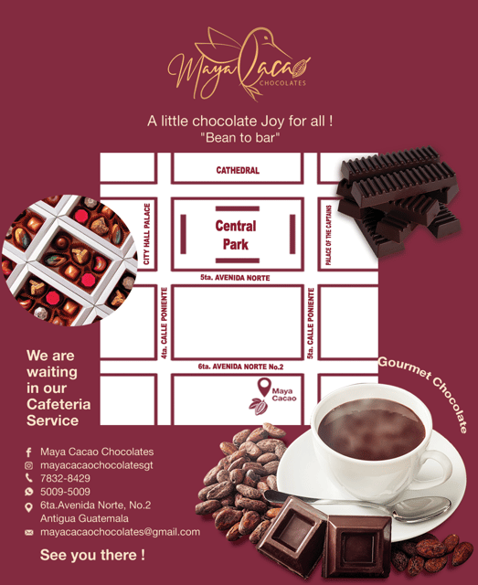 Chocolate workshop; gastronomic experience of cocoa. - Five senses cocoa tasting: smelling the difference that matters