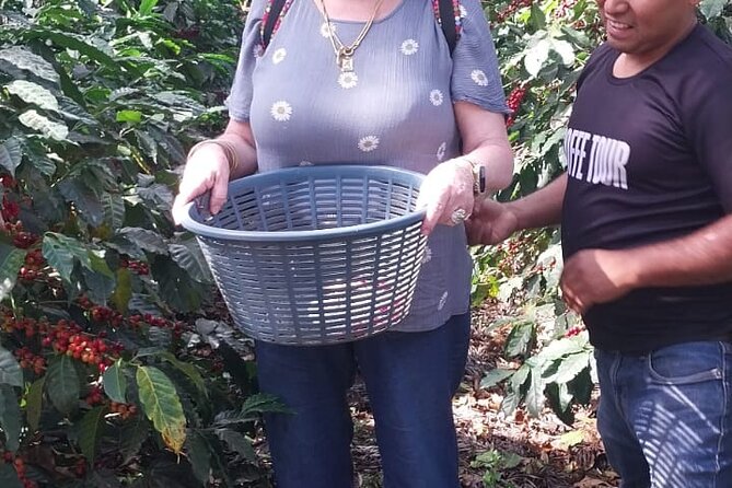 Coffee in the first capital of Guatemala - Coffee tasting: when the tour turns into something you can compare