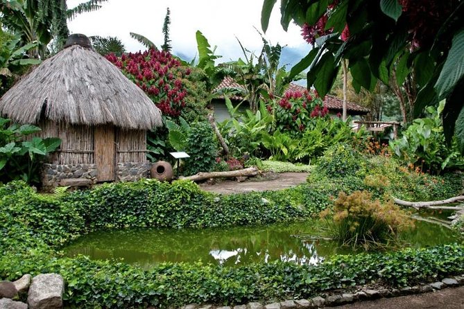 Coffee plantation and Antigua combo - A 6-hour Antigua day built around coffee, then the highlights