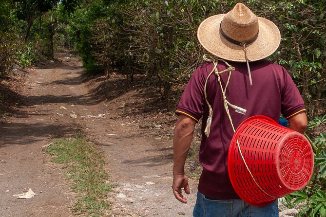Coffee Tour in Antigua Guatemala - Why This Coffee Tour Works So Well Near Antigua