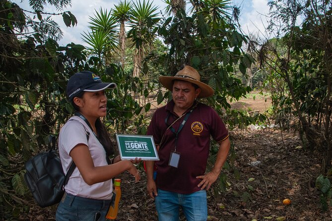 Coffee Tour in Antigua Guatemala - Getting There: Pickup, Morning Flow, and What “Small Group” Really Means