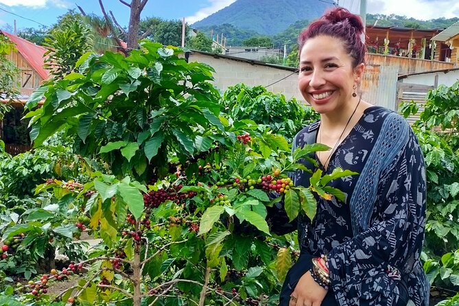 Coffee Tour in Lake Atitlán - Lago de Atitlán Boat Ride and the Geography Talk