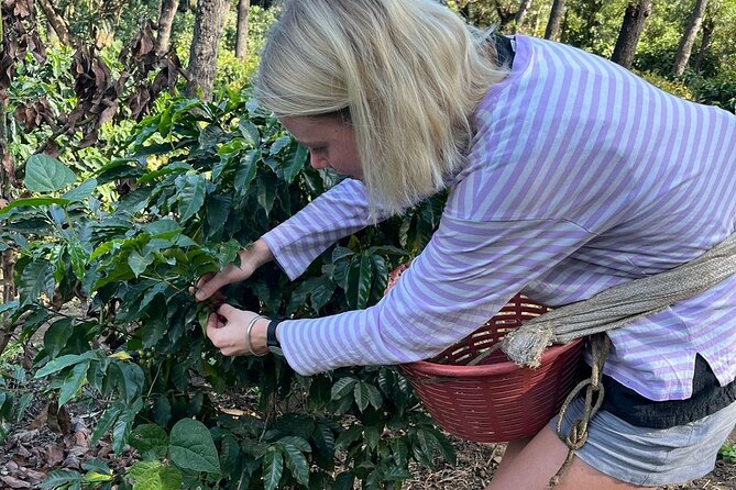 Coffee tour near the Agua Volcano with tasting - Key highlights at a glance