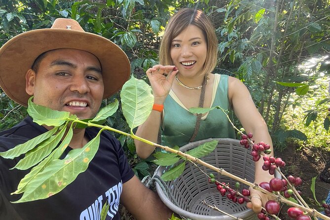 Coffee tour near the Agua Volcano with tasting - Who this tour suits best (and who might want something else)