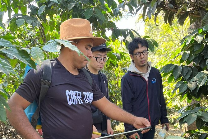 Coffee tour near the Agua Volcano with tasting - Farm walk basics: what you learn before you ever taste