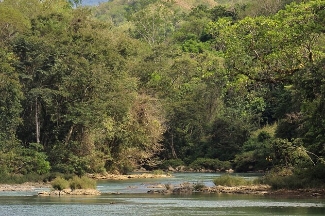 Cultural Walk and Natural Beauty near Semuc Champey - Why This Walk Around Semuc Champey Feels More Local Than Usual