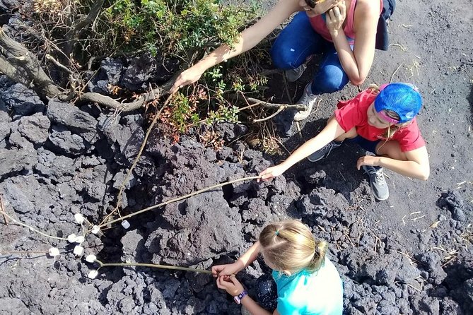 Day Tour to Pacaya Volcano from Antigua Guatemala on Private Vehicle - Drinks, Snacks, and the Lunch Gap You Should Plan For