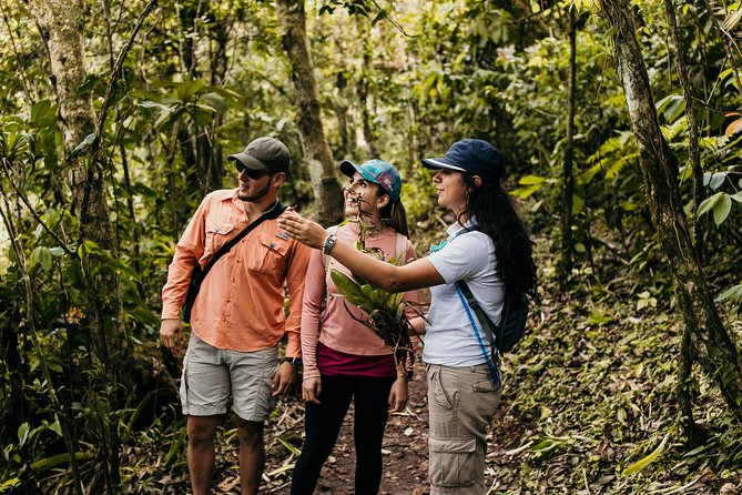 Discover a Lagoon on the Crater of Ipala Volcano - Private Full Day Tour - Crater-lagoon swimming rules, life jacket support, and what to pack