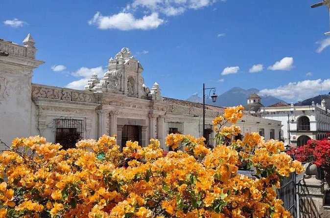 Easy Antigua from Quetzal Port - Price and value: what $130 buys in the real world