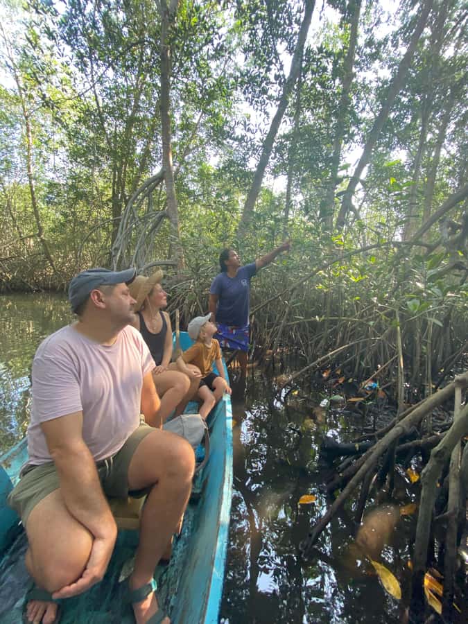El Paredón: Mangrove Boat Tour with Optional Fishing - Key Things That Make This Tour Worth Your Time