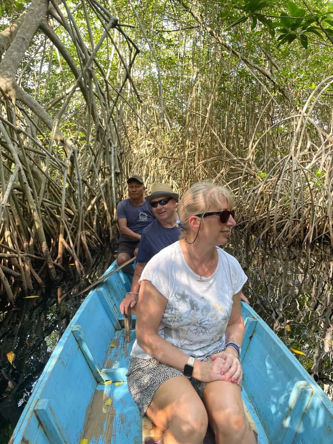 El Paredón: Mangrove Boat Tour with Optional Fishing - What to Bring for a Comfortable Mangrove Morning or Afternoon