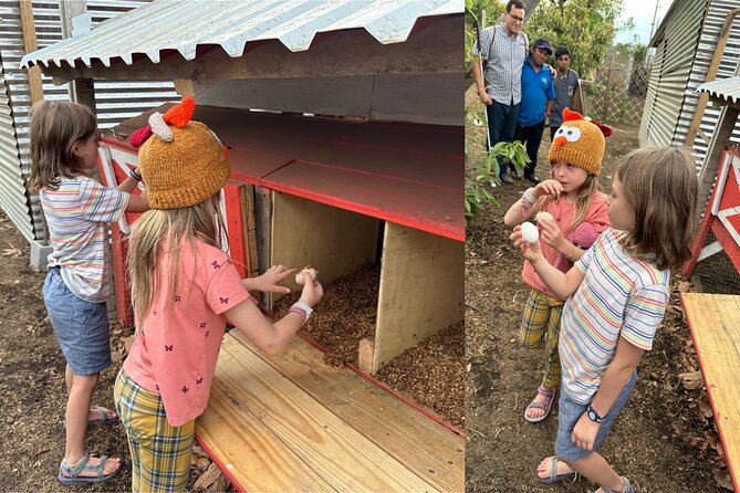 Experience: Organic Coffee, Avocados, Honey & More! - Why this eco-farm tour in Antigua is more than a food stop