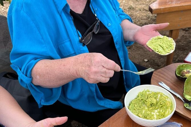 Experience: Organic Coffee, Avocados, Honey & More! - Avocado plantation walk, guacamole timing, and tortillas you help make