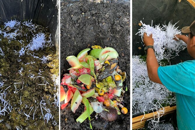 Experience: Organic Coffee, Avocados, Honey & More! - Bees, honey, and compost: the sustainability lessons that connect everything