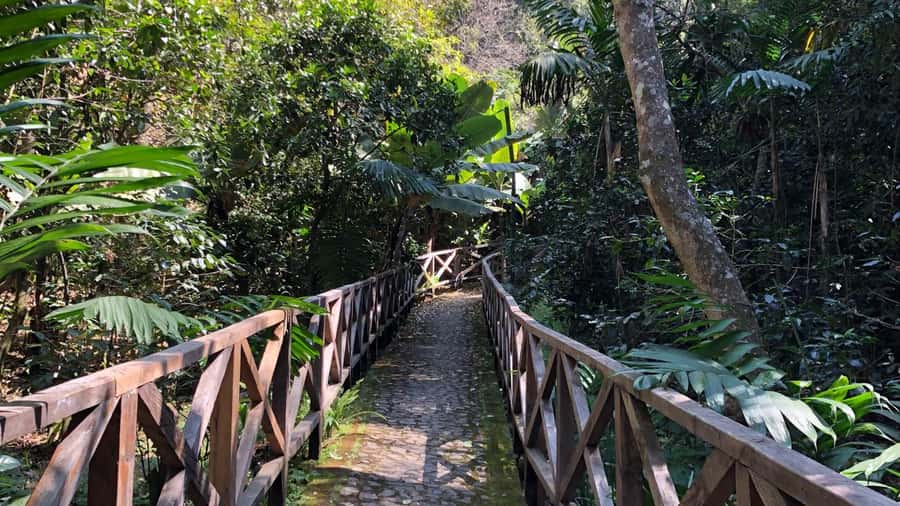 From Antigua Guatemala: Birdwatching and Scenic Hiking Tour - Why Finca El Pilar is such a useful birding-and-hike combo