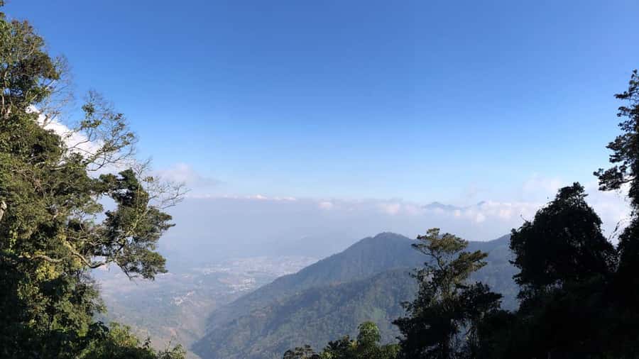 From Antigua Guatemala: Birdwatching and Scenic Hiking Tour - The guided birdwatching session, binoculars in hand