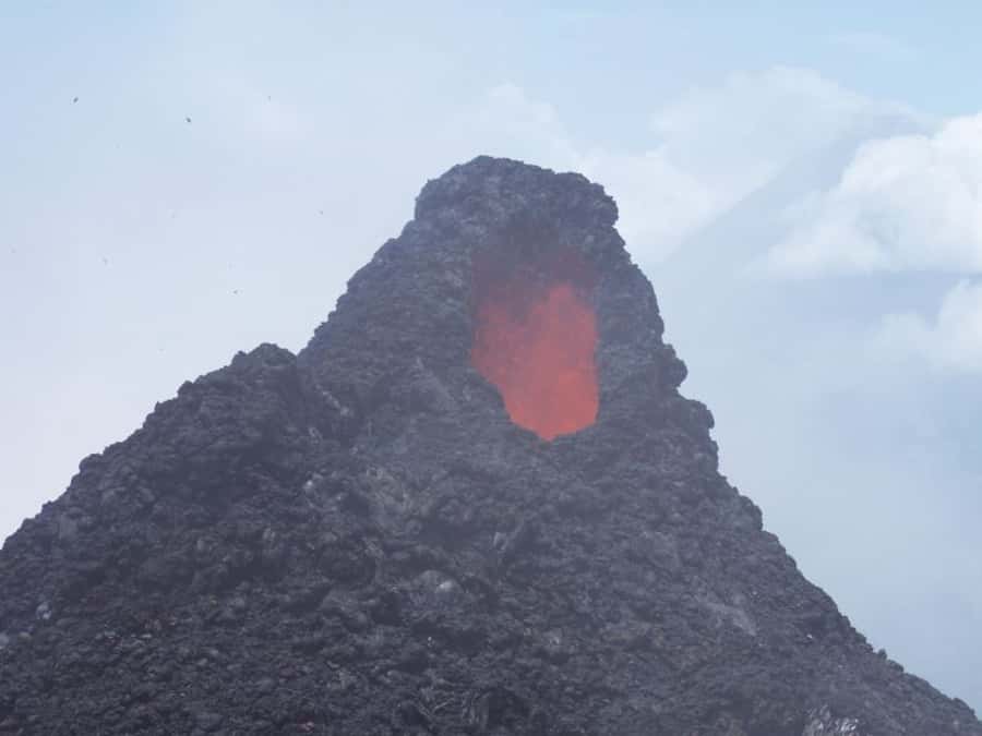 From Antigua: Pacaya Volcano Day Hike - The geothermal zone: where marshmallows get roasted for real