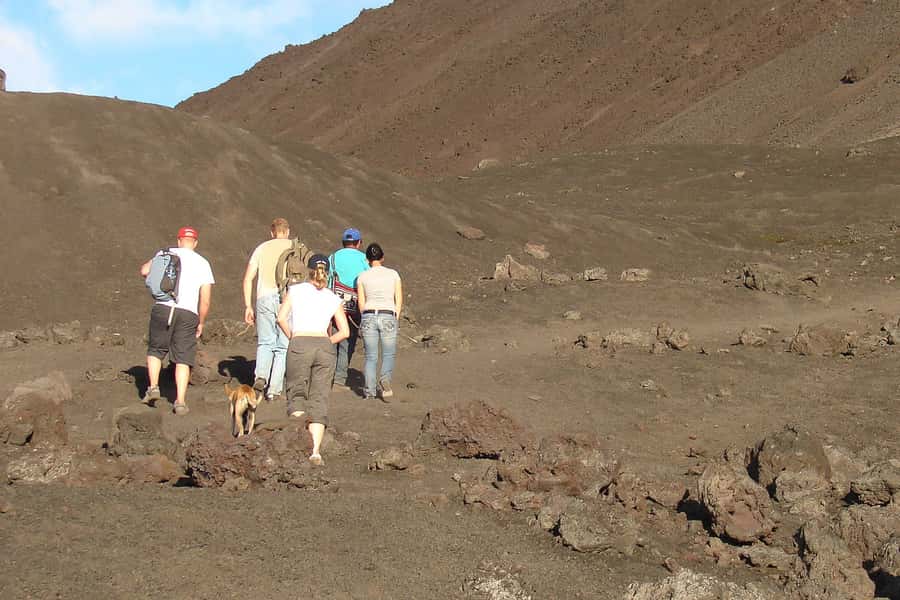 From Antigua: Pacaya Volcano Trek - The climb: pine forest, ash, and the sulfur cone