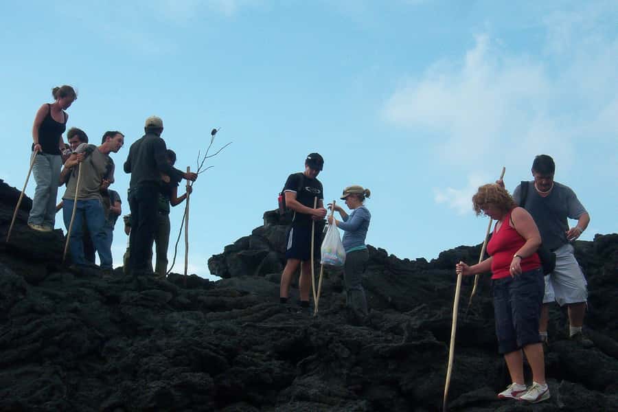 From Antigua: Pacaya Volcano Trek - Summit views of Agua, Fuego, Acatenango, and toward El Salvador