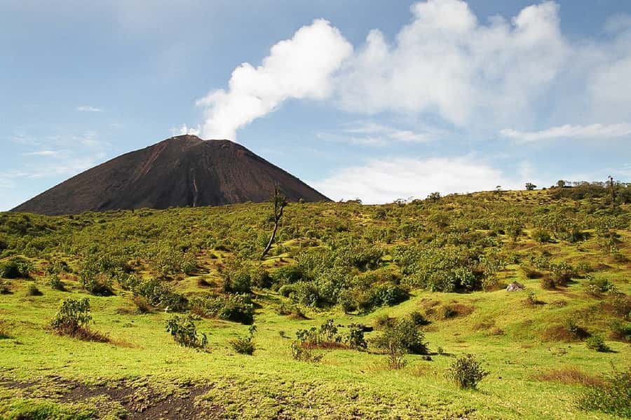 From Antigua: Pacaya Volcano Trek - Red-hot lava views, steam baths, and roasted marshmallows