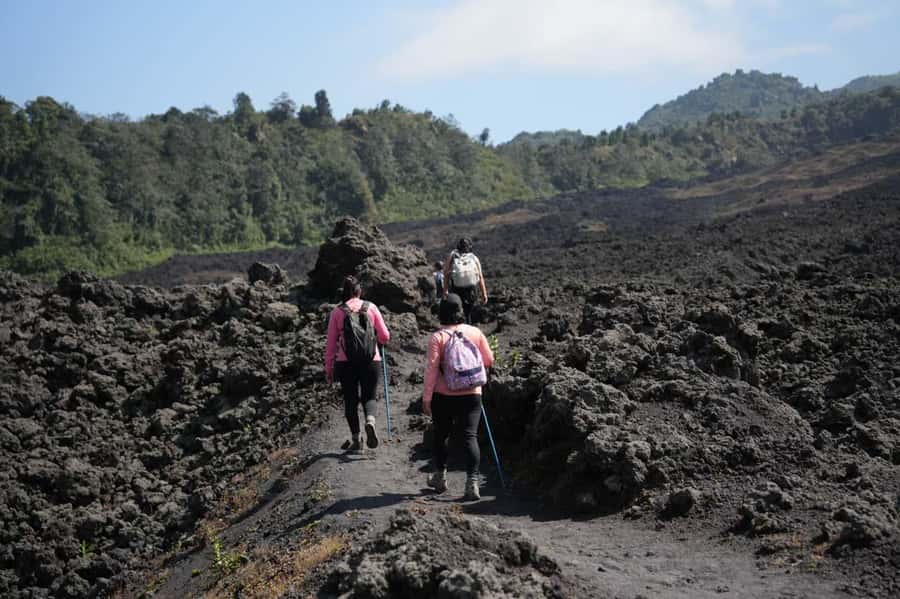 From Antigua to Pacaya Private Tour - Pacaya Volcano Time: Lava Roasting, Marshmallows, and a Lake Pause