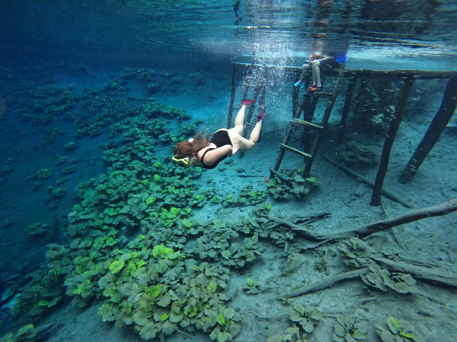 From Flores: Blue Crater Adventure All Inclusive - Key takeaways before you go