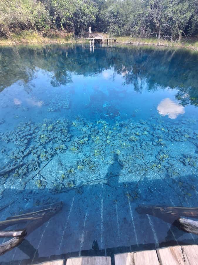 From Flores: Blue Crater Adventure All Inclusive - La Passion River and the boat journey: the part most people actually remember
