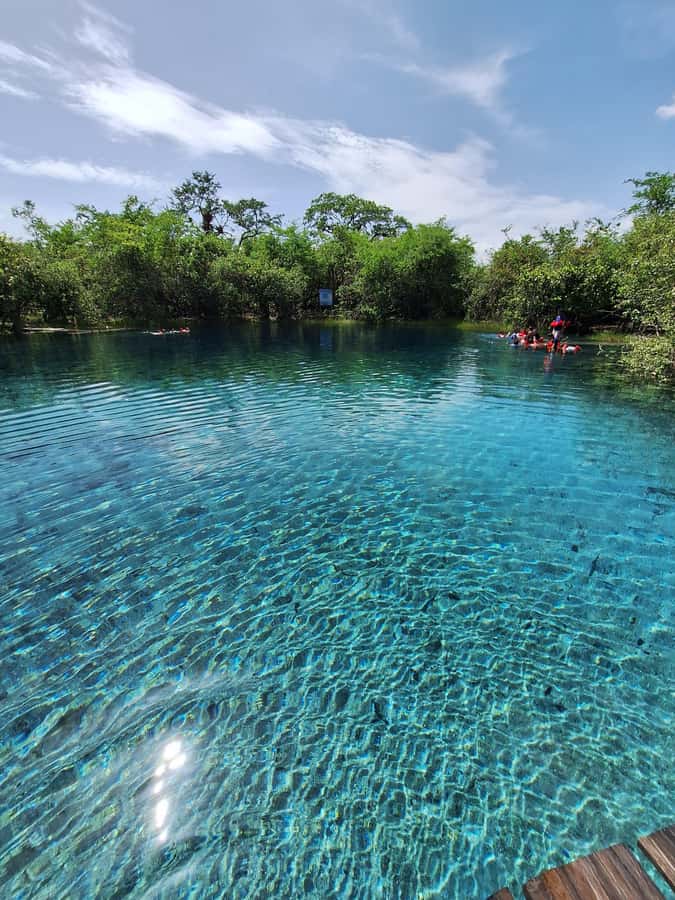 From Flores: Blue Crater Adventure All Inclusive - Crater Azul swimming: what your 2.5 hours are really for