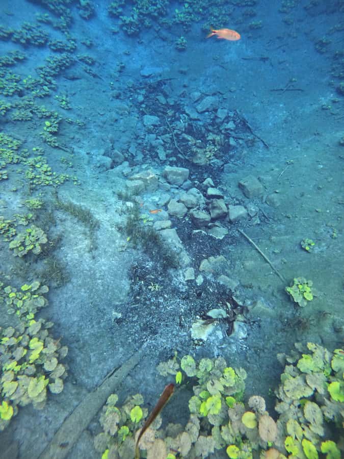 From Flores: Blue Crater Adventure All Inclusive - Return by boat and vehicle: the last leg to Flores