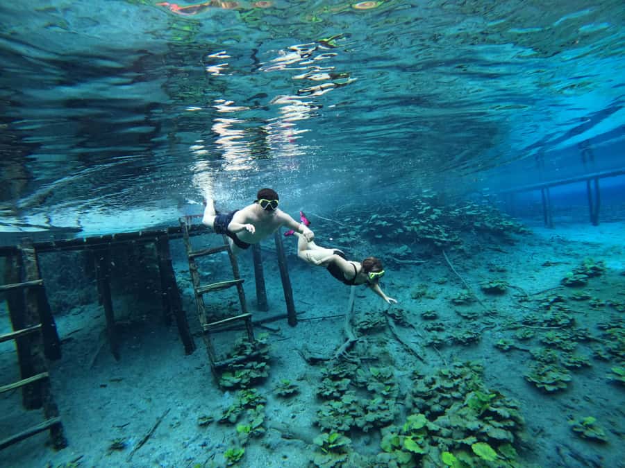 From Flores: Blue Crater Adventure All Inclusive - From your pickup to Arroyo Pucte: how the morning flows