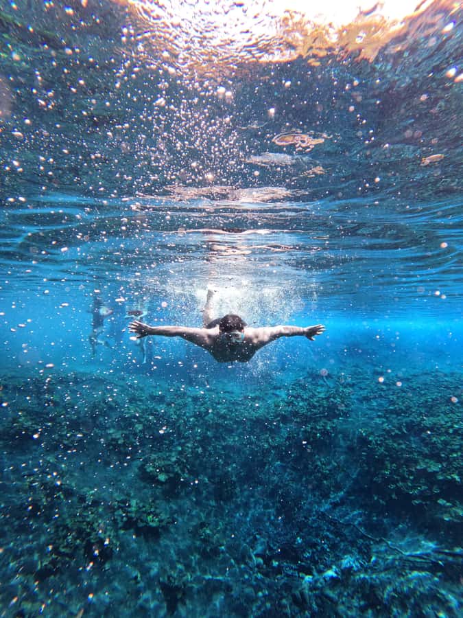 From Flores: Blue Crater All Inclusive - The speedboat ride to Blue Crater: quick transfers, real views