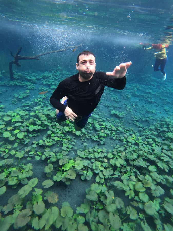 From Flores: Blue Crater All Inclusive - Arroyo Pucte and the water-country start you see on the way