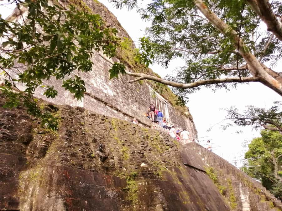 From Flores: Guided Tour to the Ruins of Tikal - Key takeaways before you go